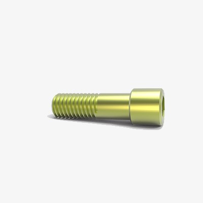 Straight Abutment Screw